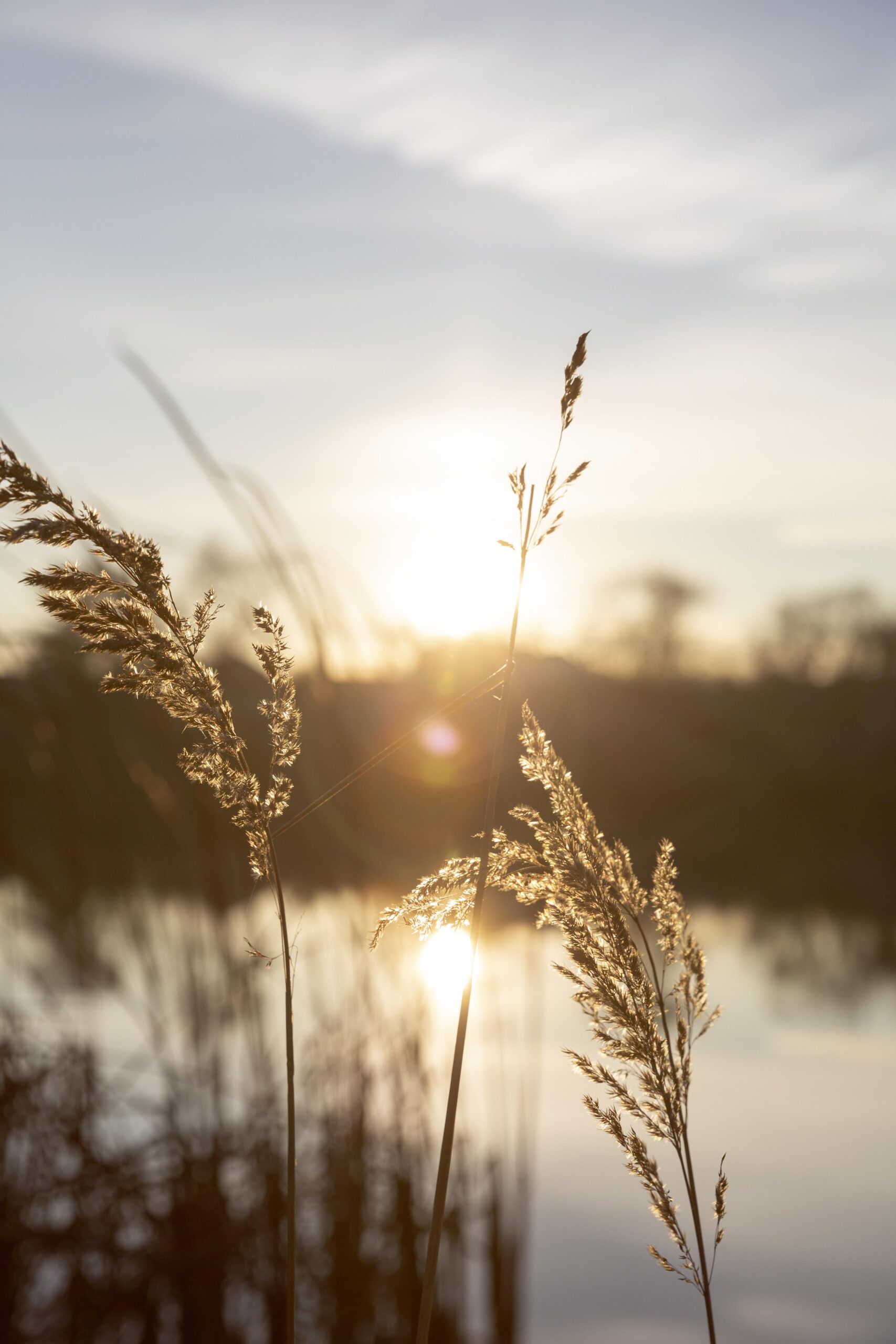 peaceful-view-morning-light (1)